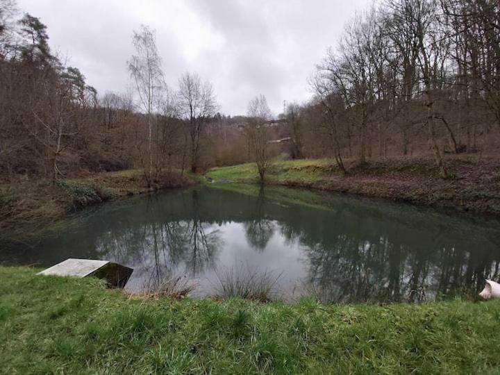 Chalet Ardennais 240 - La Boverie - Rendeux Luaran gambar